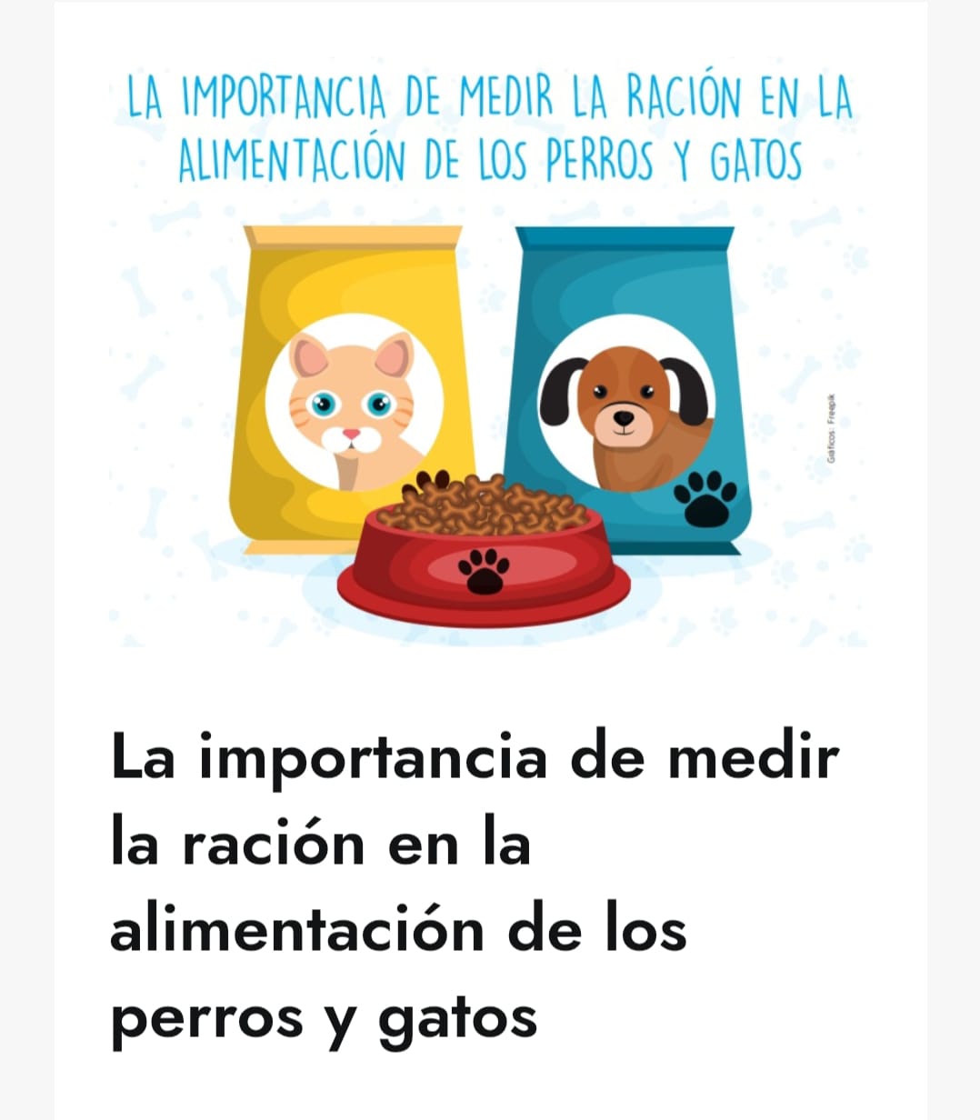 Ilustración sobre medir la ración en la alimentación de perros y gatos